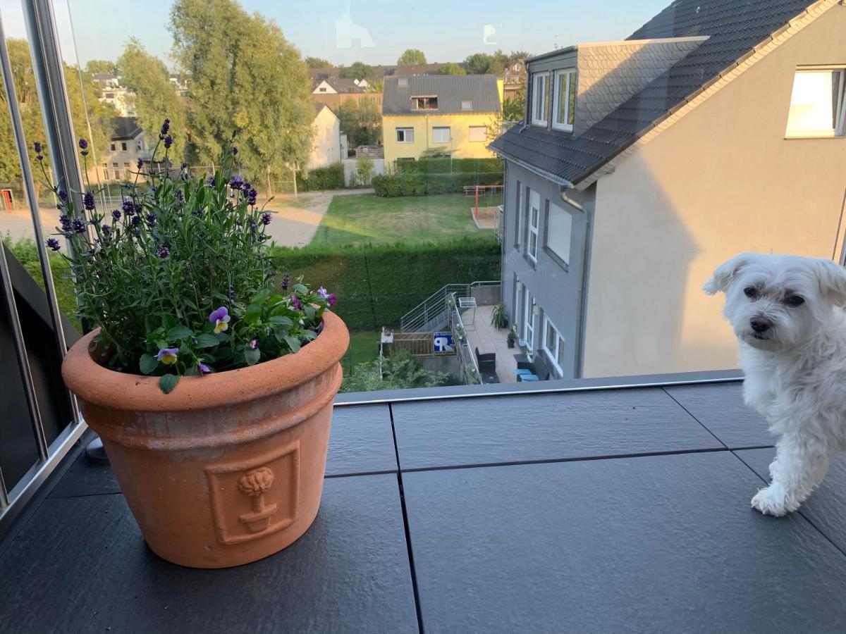 Apartment Brander Blick